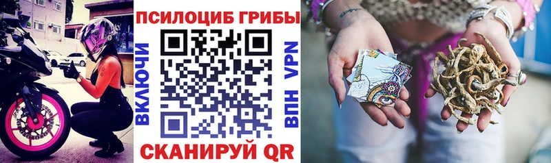 Псилоцибиновые грибы Cubensis  наркота  Лихославль 